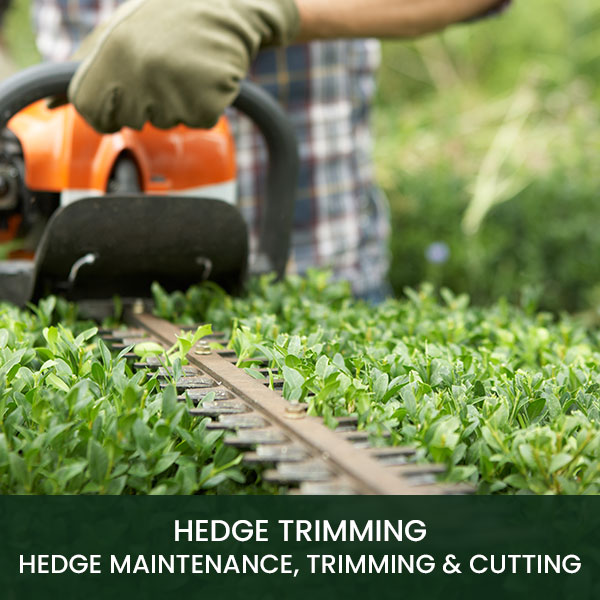 Hedge trimming ireland