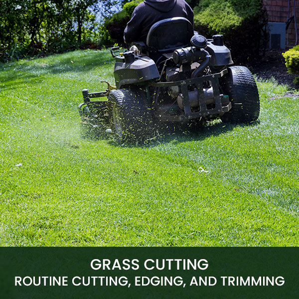 person cutting grass in galway
